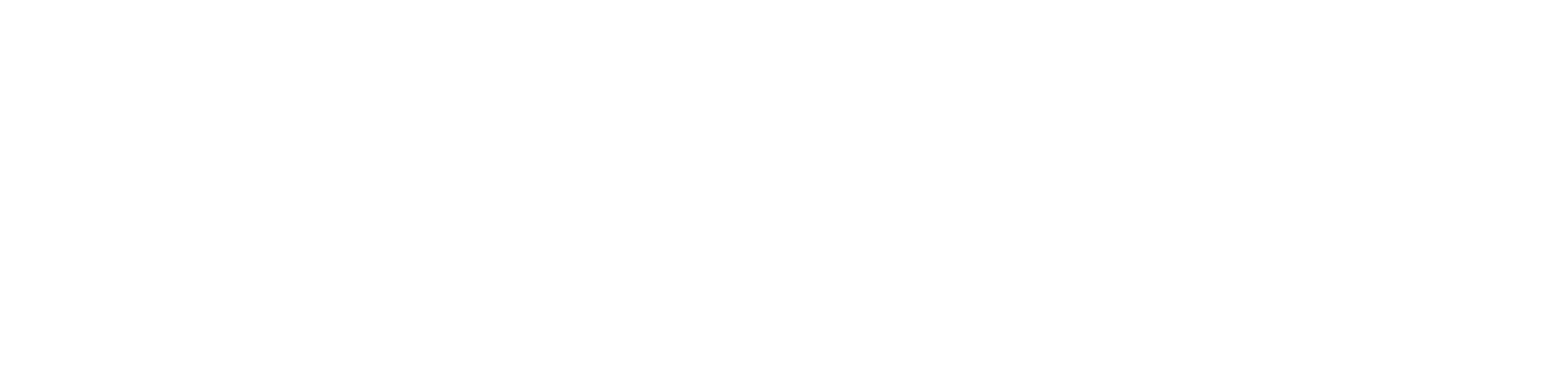 Blue Sparrows MedTech Fund