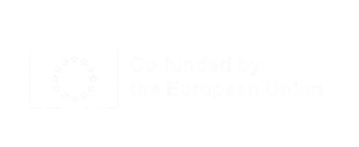 Co-funded by the European Union