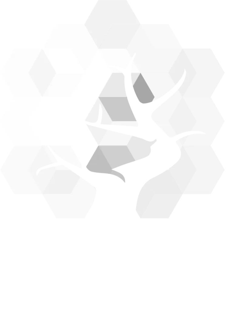 UNETI Ventures