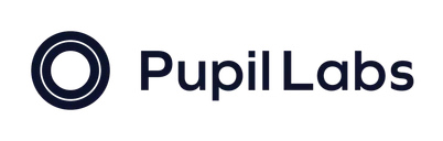 Pupil Labs