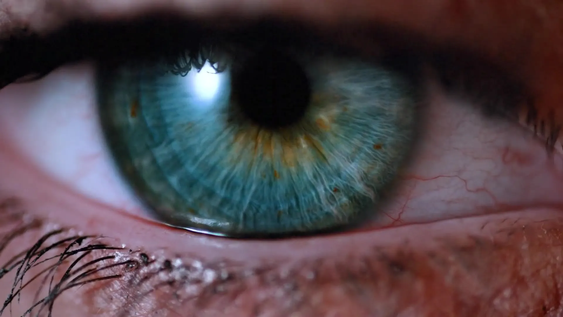 Extreme close-up of a human eye, representing the precision of SONDA's eye-tracking assessment